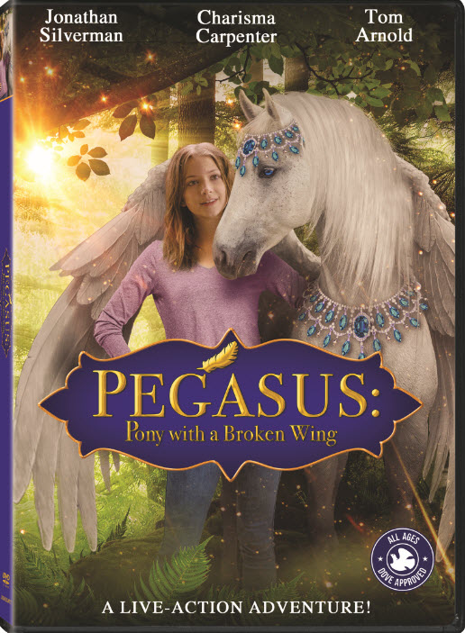 Pegasus: Pony with a Broken Wing poster